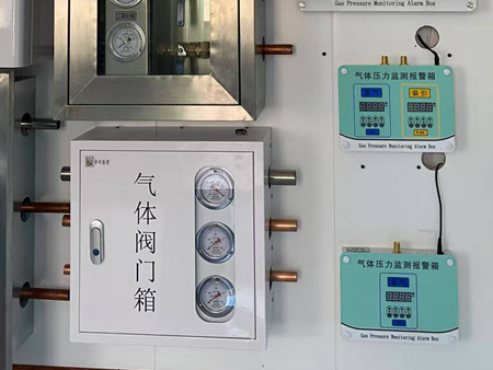 气体阀门箱/气体压力检测报警箱